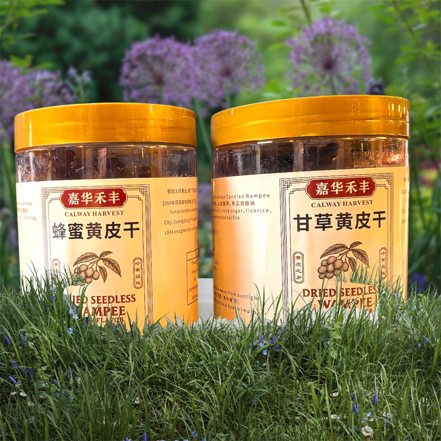 02月24日 周二黄皮干:甘草黄皮干1瓶+蜂蜜黄皮干1瓶(开胃解腻|酸甜清爽)【当日派送订单满$60,即可享受免费送货服务】