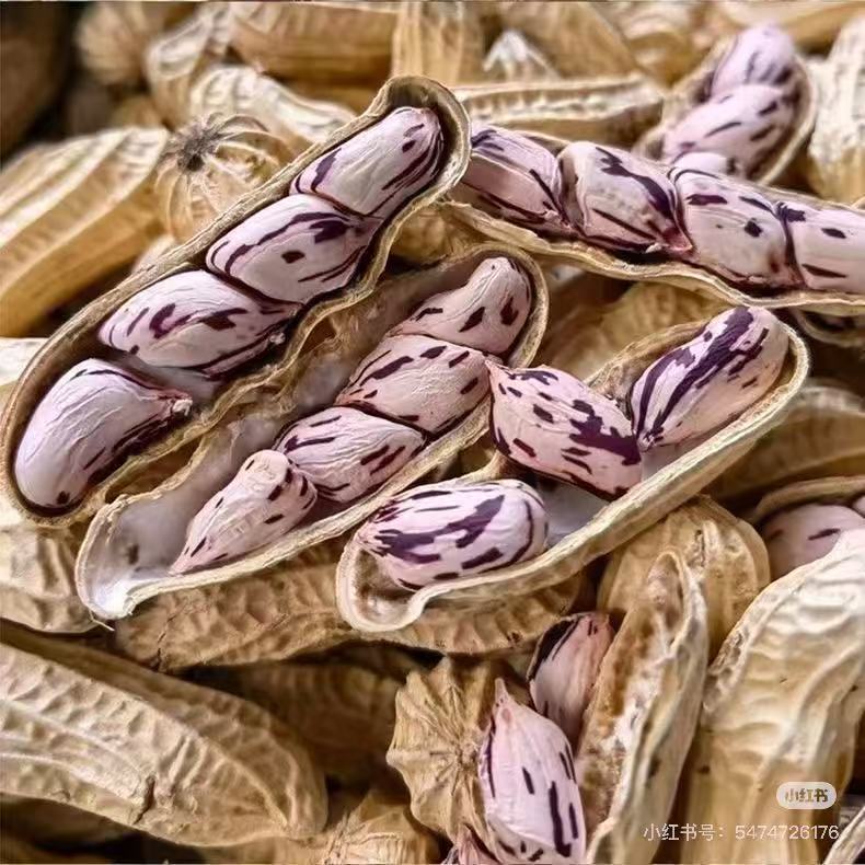 02月16日 周一七彩花生:七彩花生1磅/包(脆中带糯,甜咸平衡不腻)【当日派送订单满$60,即可享受免费送货服务】