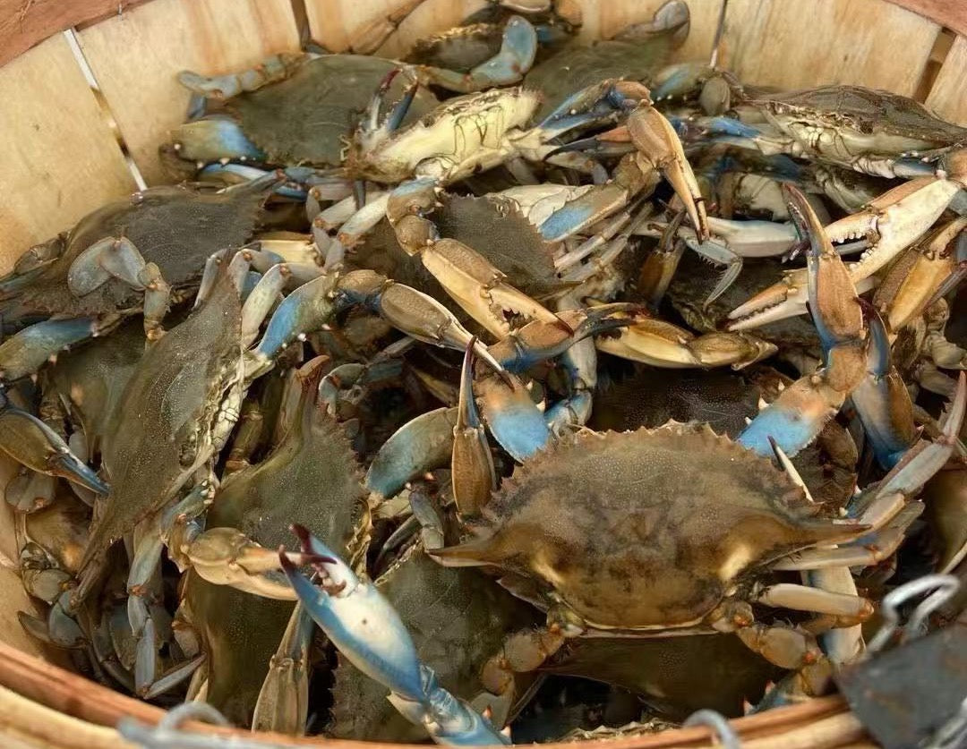 Friday, September 5th: Spicy Crab Rice Cake (with fresh blue crab), Roasted Chicken with Chestnuts, Garlic Water Spinach, White Clam and Tofu Soup